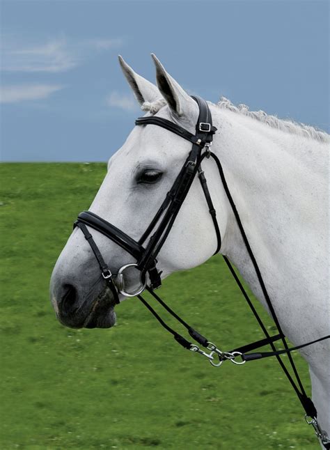 Different Types Of Side Reins Horse Pilates