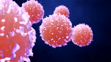 Cancer Breakthrough Treatments To Target Drug Resistance Bbc News