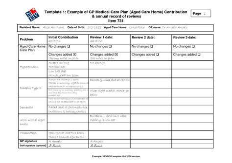 Home Care Plan Template