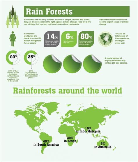 Rainforests Facts And Figures Infographic Rainforest Facts