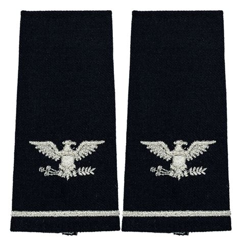 Air Force Colonel Rank Flying Tigers Surplus