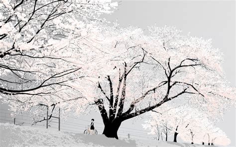 Anime Cherry Blossom Tree White Background Cherry Blossom Snow White
