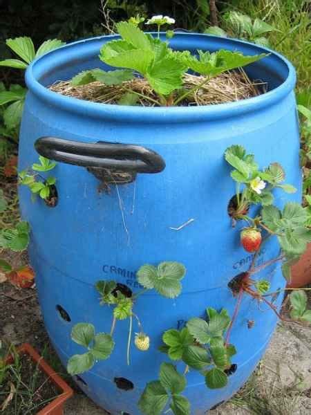 Plastic Barrels Are Versatile Items That Can Be Used On The Homestead