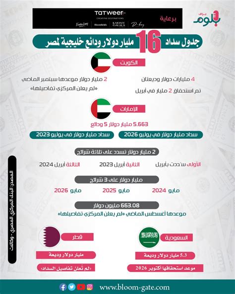 إنفوجراف جدول سداد 16 مليار دولار ودائع خليجية في البنك المركزي