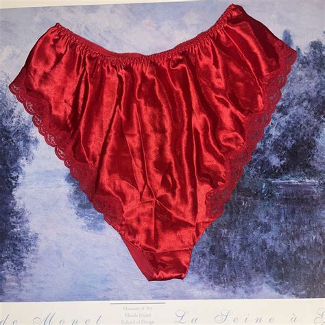 Delicates Vintage Nylon Satin French Cut Panties Large Ebay