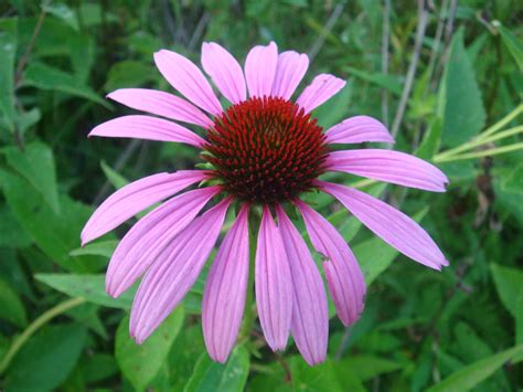 Check spelling or type a new query. Images of Illinois (St. Charles, McHenry, Marengo ...
