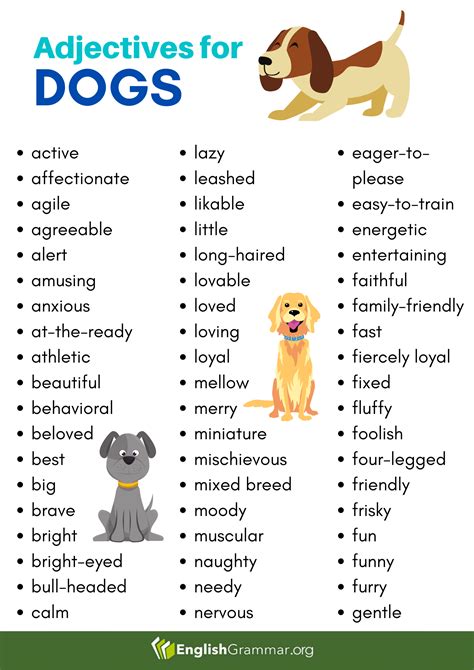 Adjectives For Dogs Adjectives English Phrases Writing Lessons