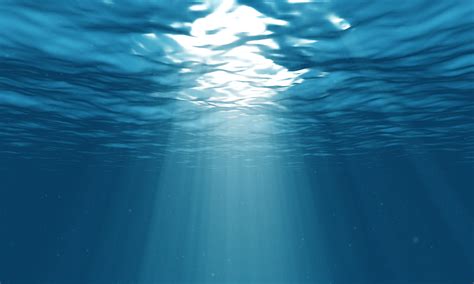 Underwater Ocean Hd Wallpapers Top Free Underwater Ocean Hd