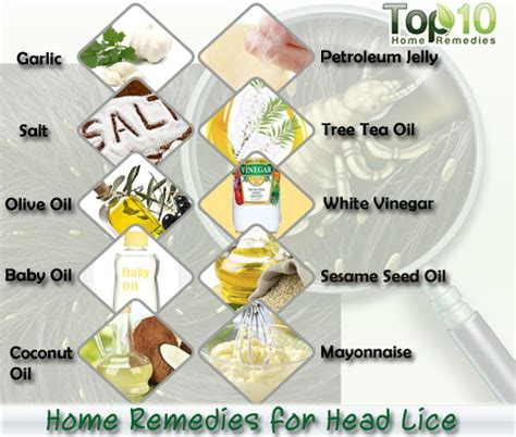 Home Remedies For Head Lice Top 10 Home Remedies