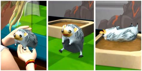 Mod The Sims Sega Certified Hedgehogs By Woopa20 • Sims 4 Downloads
