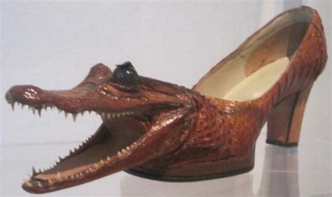 Welcome To Shoutgist Insane Fashion Check These Alligator