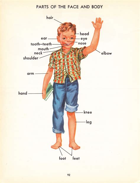 Learn these parts of body names to increase your vocabulary words in. Pop Circus: Retro Book Fair: 'Young Reader's Color-Picture ...