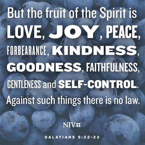 But The Fruit Of The Spirit Is Love Joy Peace Forbearance Kindness