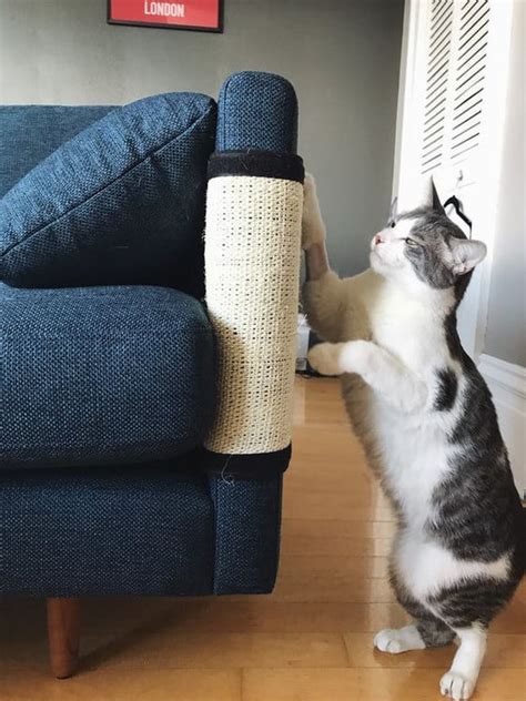By scratching, the chances of your cat developing the easiest way to stop cats from scratching is to buy a special scratcher as i did. How To Stop Your Cat From Scratching Up Your Furniture ...
