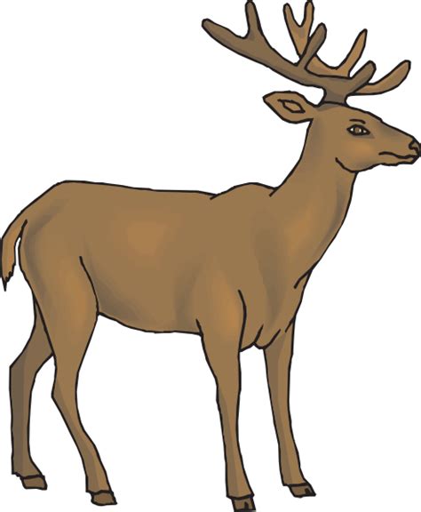 Cartoon Deer Pictures Clipart Best
