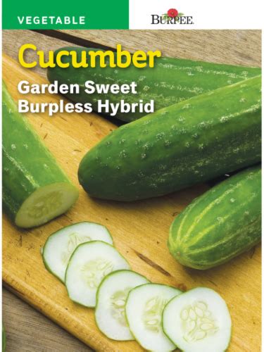 Burpee Garden Sweet Burpless Hybrid Cucumber Seeds Green 1 Count