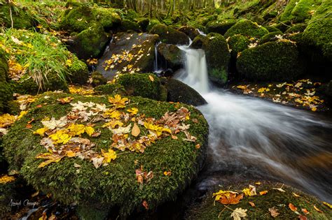 Wallpaper River Darots Auvergne Fall Leaves Autumn Waterfall