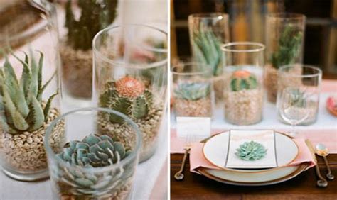 Encuentra cactus suculentas de segunda mano desde $ 0. Centros de mesa con suculentas y cáctus | Guía Mi Casamiento