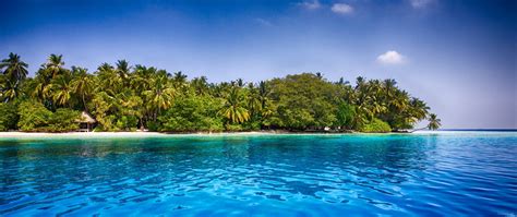 Green Leafed Trees Maldives Tropical Beach Palm Trees Hd Wallpaper