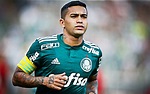 Eduardo Pereira Rodrigues, Dudu, Brazilian footballer, SE Palmeiras ...