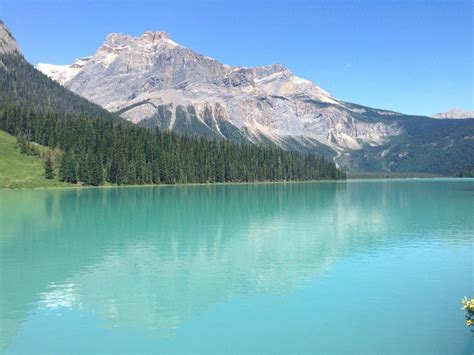 Emerald Lake Near Field Bc Canada 3264 X 2448 Oc U