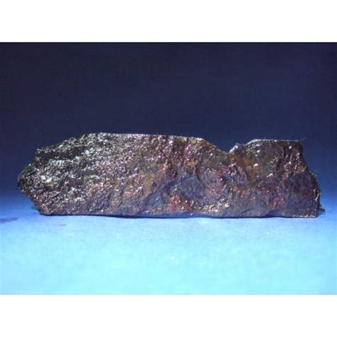 Muonionalusta Meteorite Slice 398g