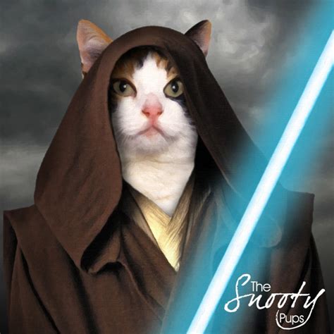Jedi Cat Portrait Star Wars Obi Wan Pet Portraits Custom Etsy