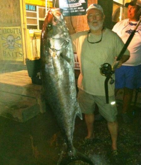 Record Amberjack Weighed In Mississippi Fishtrackcom