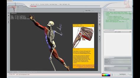 Learn Human Anatomy The Easy Way 3d Virtual Software Youtube