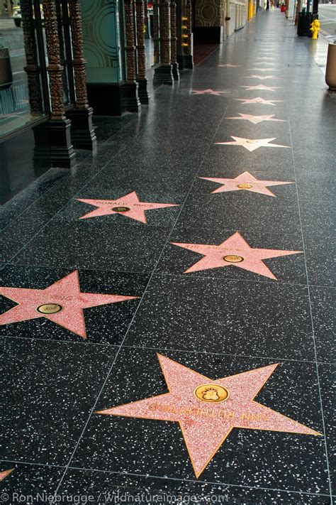 Stars On The Hollywood Walk Of Fame Los Angeles California Photos