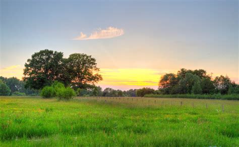 Wallpaper Sunlight Trees Landscape Sunset Garden Architecture