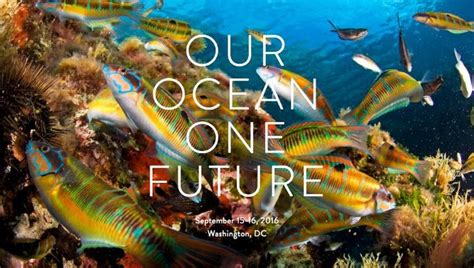 Our Ocean 2016 Commitments