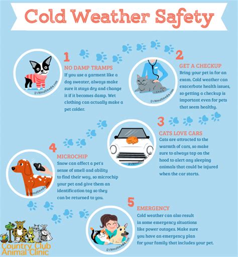 Cold Weather Safety Tips In North Richland Hills Tx Neighborhood Pet Health Center