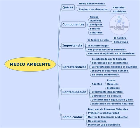 Mapa Conceptual Del Medio Ambiente