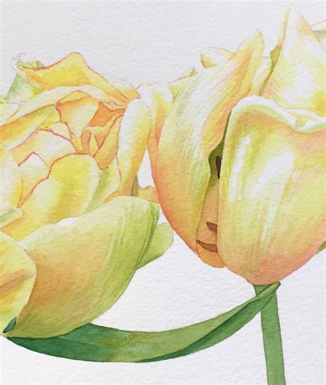 Tulips Original Watercolor Painting Floral Decor Botanical Etsy
