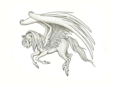 Pegasus Drawing At Getdrawings Free Download