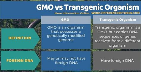 …an organism's genes) transgenic plant cells can be made into plants by growing the cells on special hormones. Difference Between GMO and Transgenic Organism | Compare the Difference Between Similar Terms