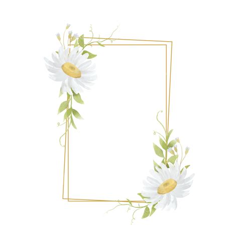 Daisy Bouquet Hd Transparent Flower Frame With Watercolor White Daisy