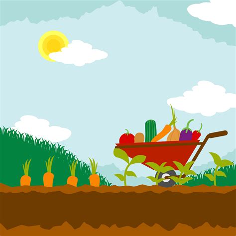 Vegetable Garden Illustration 202047 Vector Art At Vecteezy