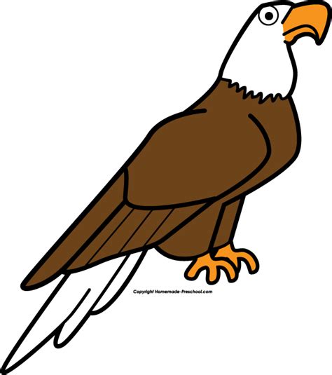 Eagle Clipart 20 Free Cliparts Download Images On Clipground 2024