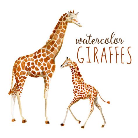 Mother And Baby Giraffe Clipart Clip Art Library