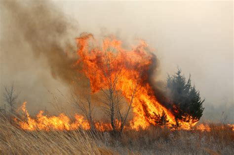 A Guide To The Great Plains Wildfire Daily Mail Online