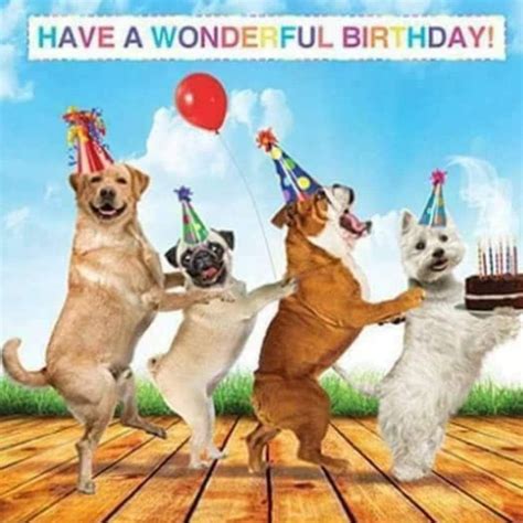 Free Birthday Images For Her With Dogs The Cake Boutique