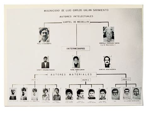 Medellin Cartel Pablo Emilio Escobar Don Pablo Escobar Gangster Squad