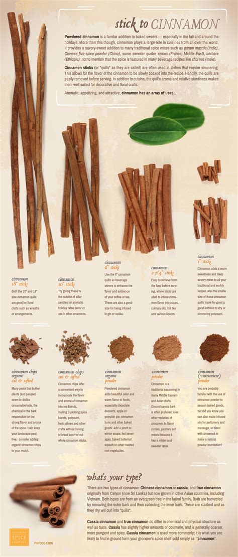 Info Cinnamon Types Sizes And Usage Suggestions From Monterey