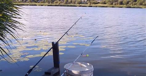 Pesca En El Lago · Vídeos De Stock Gratuitos