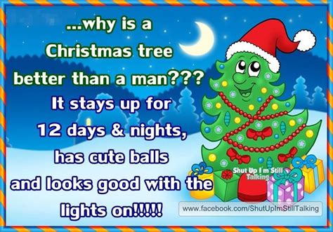 Funny Christmas Joke Quote Funny Quotes Christmas Christmas Quotes