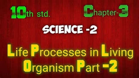 10 Th Std Science 2 Chapter 3 Life Processes In Living Organism