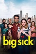 The Big Sick (2017) scheda film - Stardust