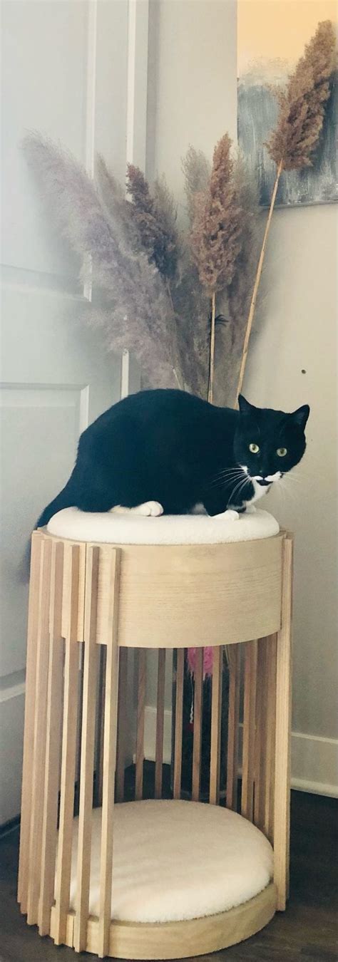 Modern Cat Furniture Product Review The Grove Cat Perch By Tuft And